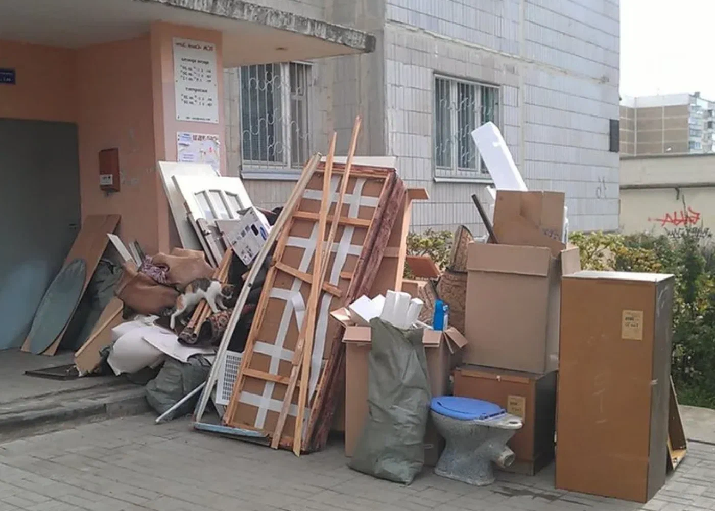 Профессиональный вывоз мусора из квартиры в Ахтубинске в октябре