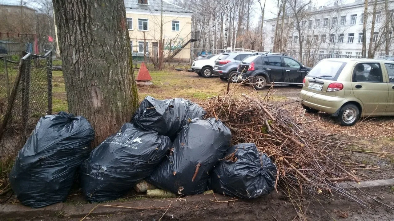 Вывоз мусора после субботника в Ахтубинске от ПроМусор – уборка и утилизация отходов от 2433 руб