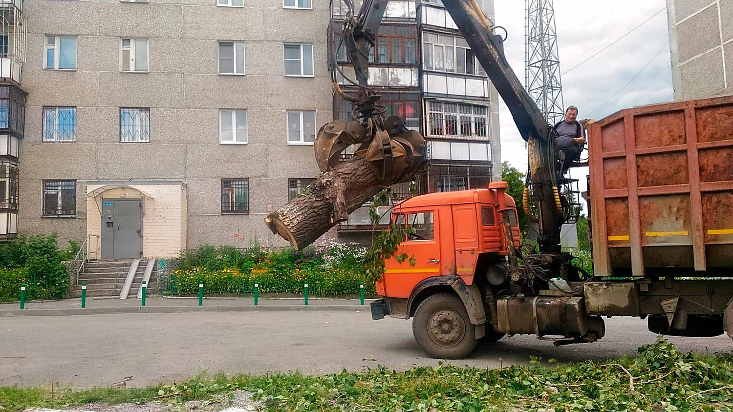 Вывоз спиленных веток и деревьев в Ахтубинске от ПроМусор: порубочные остатки, утилизация, цена от 3003 руб