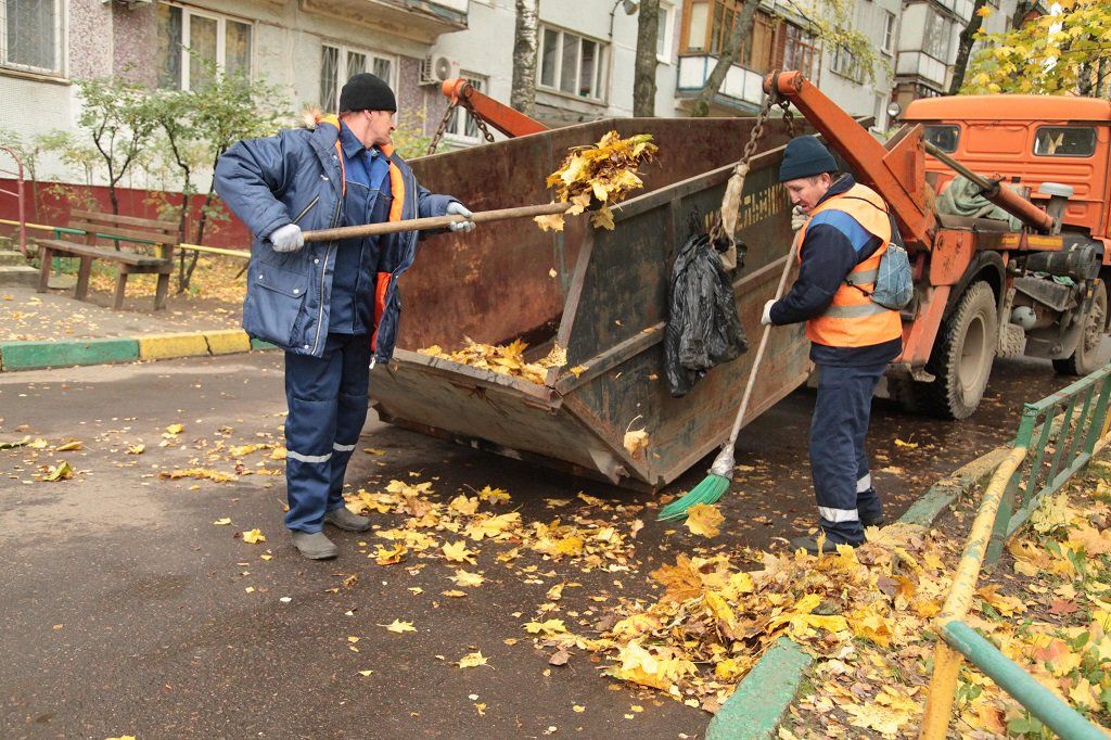 Вывоз опавшей листвы и растительного мусора в Ахтубинске от ПроМусор – цена от 4660 руб., быстрая уборка и утилизация